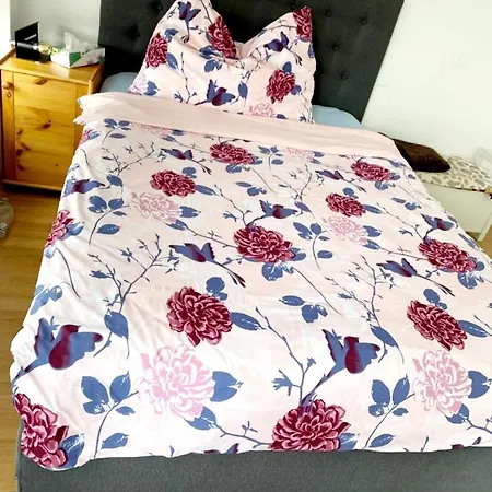 Apartamento Kleine Im Zentrum Nahe Marzili